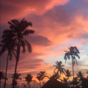 Meet your Posher, Bree